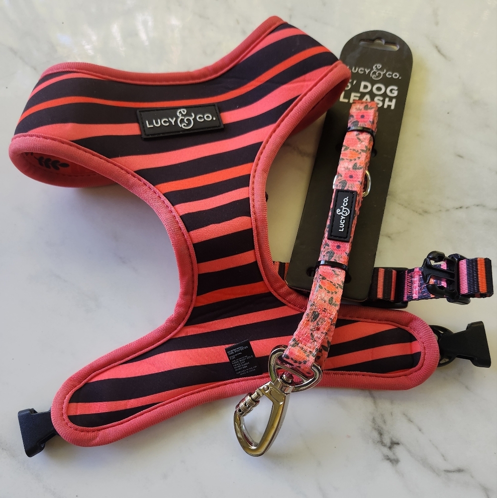 Large Lucy and co harness and leash